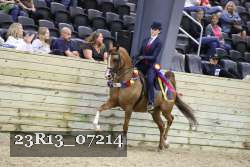 23R13_07214 proof