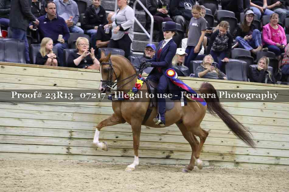 Proof 23R13_07217