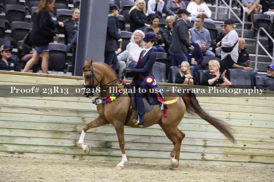 Proof 23R13_07218