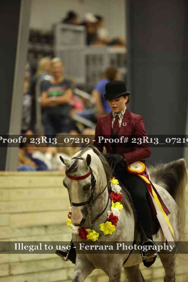 Proof 23R13_07219