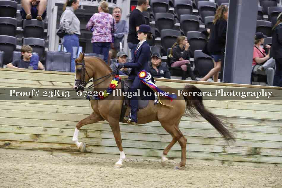 Proof 23R13_07220