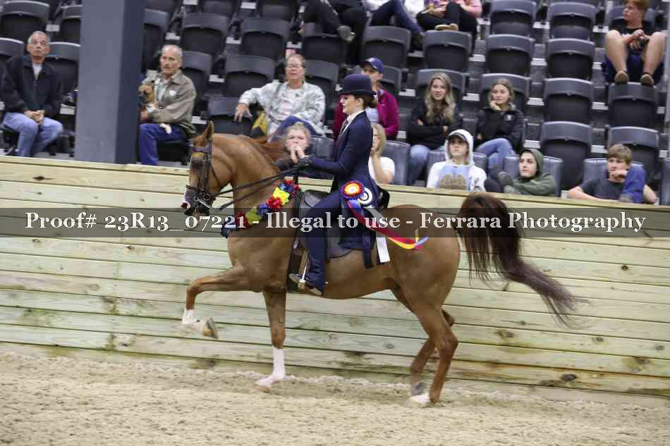 Proof 23R13_07221