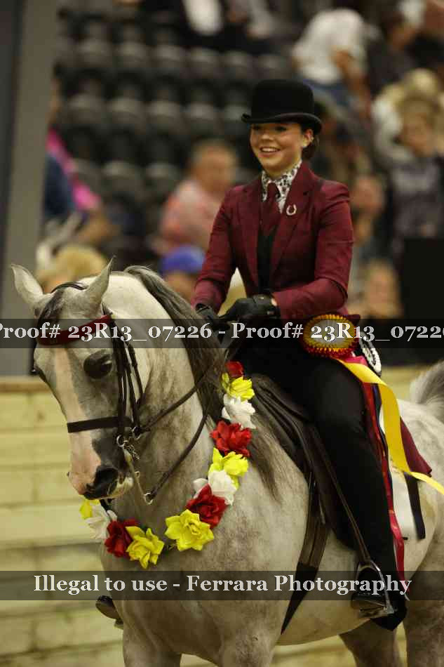 Proof 23R13_07226