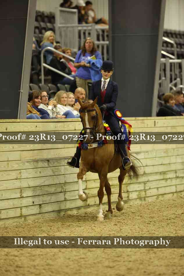 Proof 23R13_07227