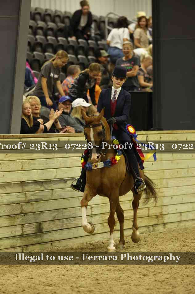 Proof 23R13_07228