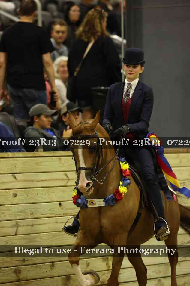 Proof 23R13_07229