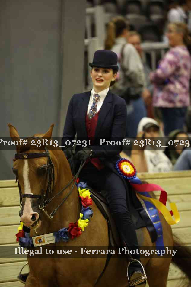 Proof 23R13_07231