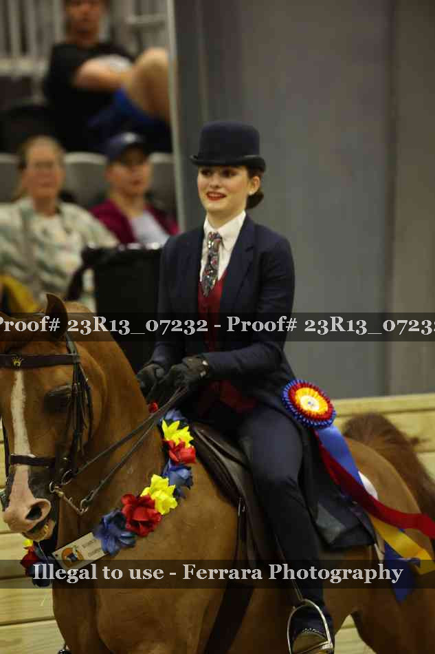 Proof 23R13_07232
