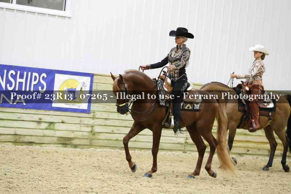 Proof 23R13_07265