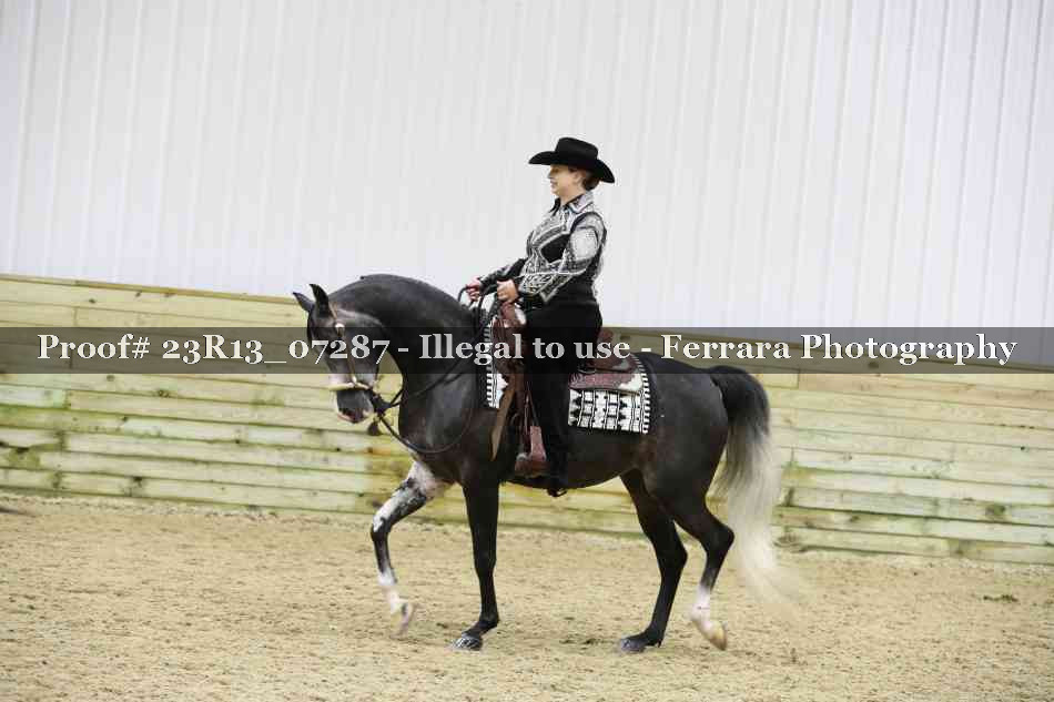 Proof 23R13_07287