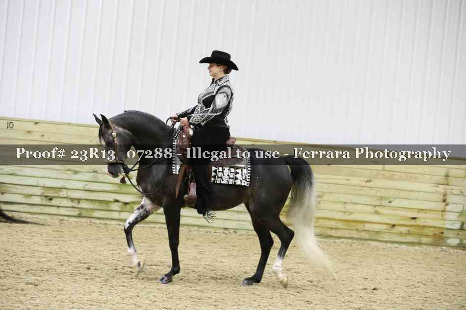 Proof 23R13_07288