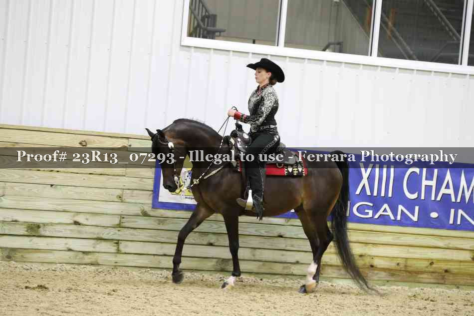 Proof 23R13_07293
