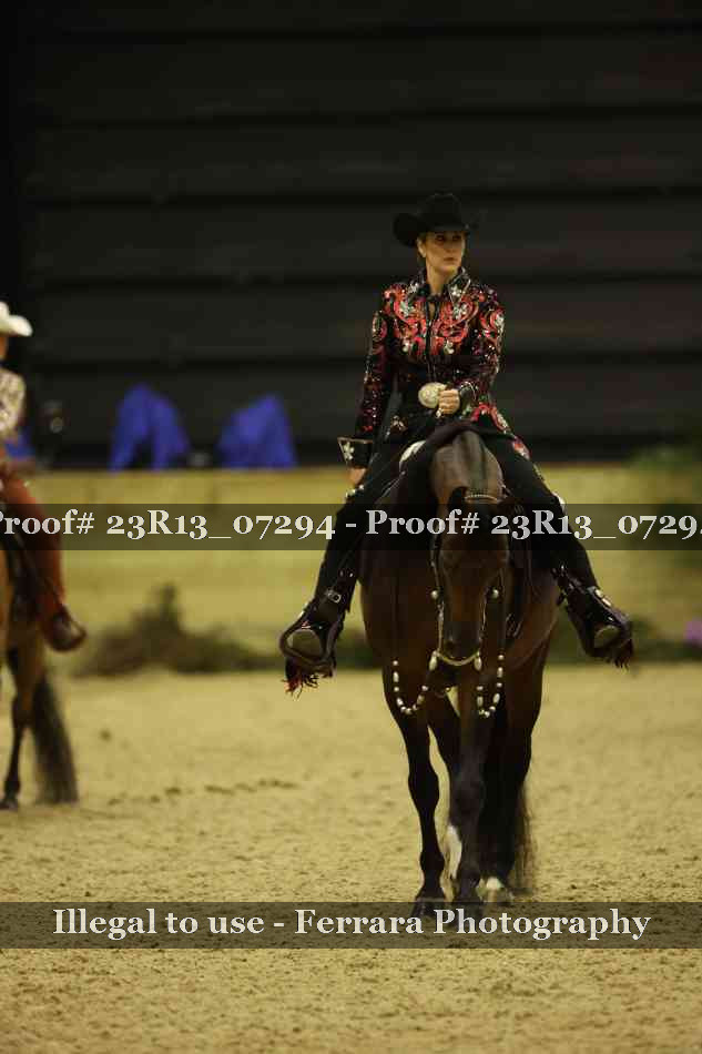 Proof 23R13_07294