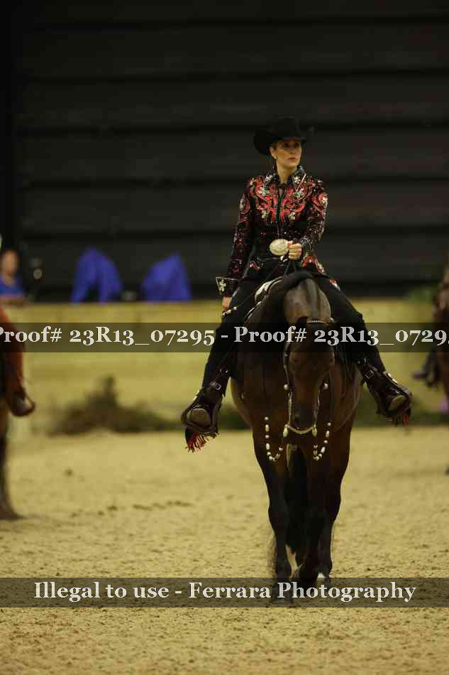 Proof 23R13_07295