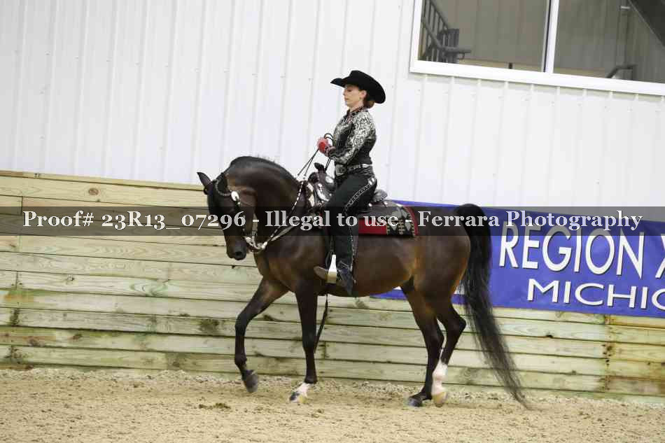 Proof 23R13_07296