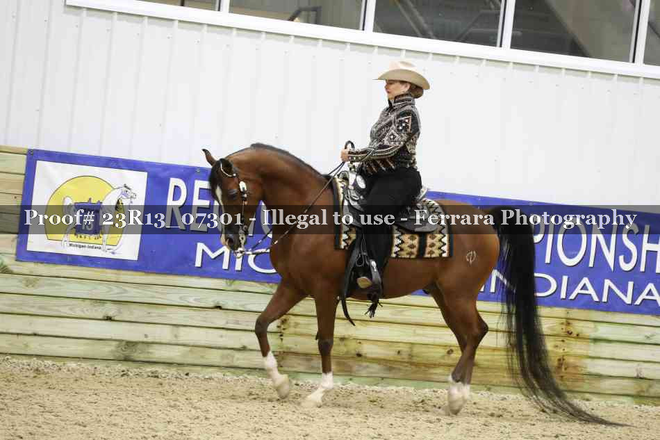 Proof 23R13_07301