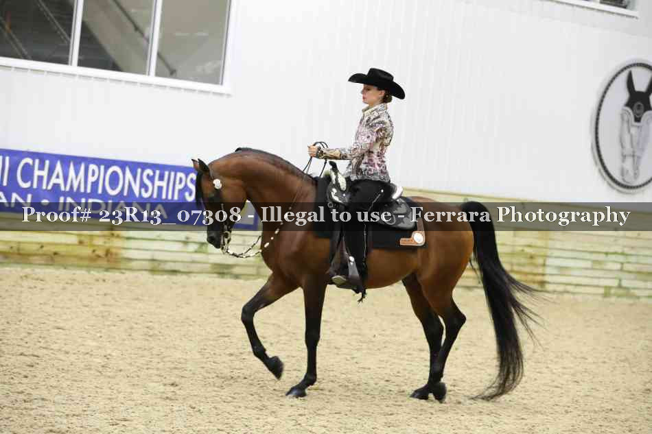 Proof 23R13_07308