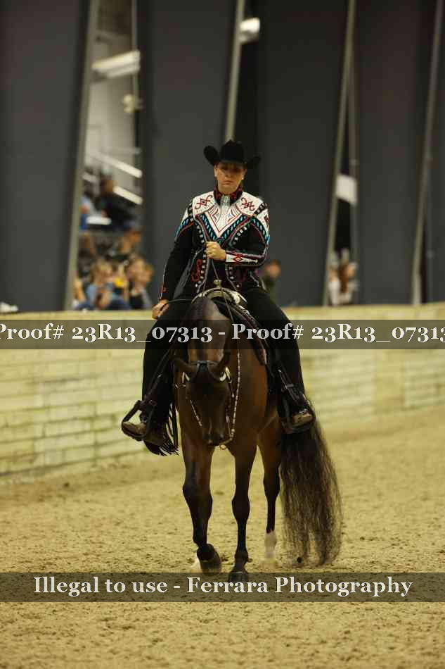 Proof 23R13_07313