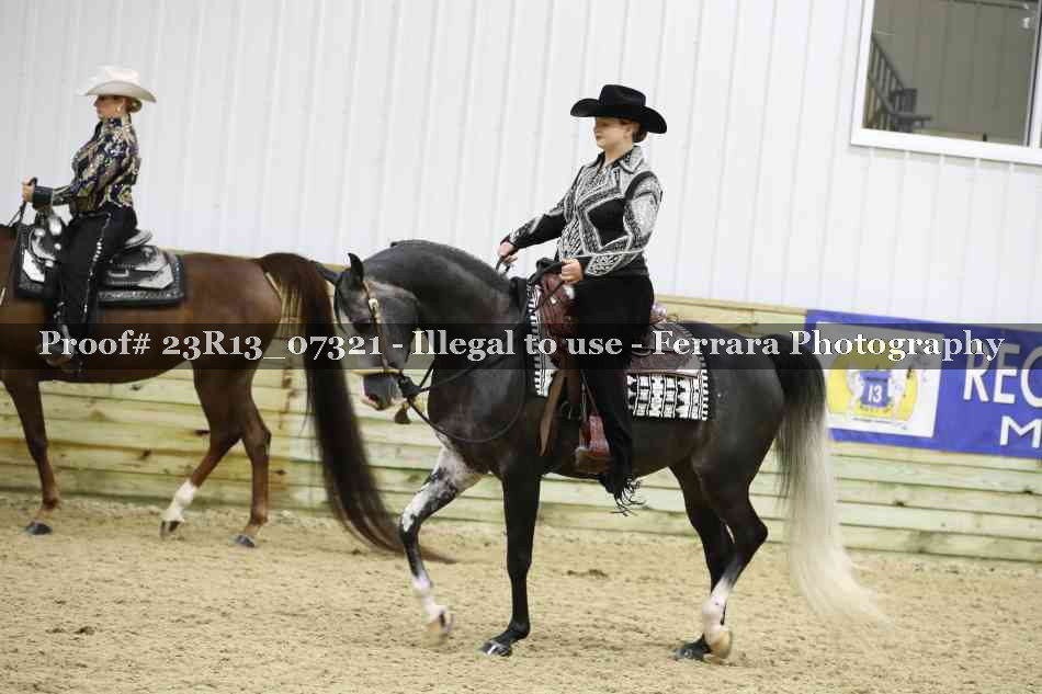 Proof 23R13_07321