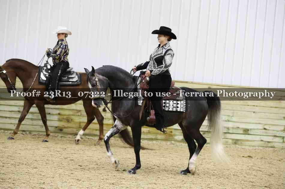 Proof 23R13_07322