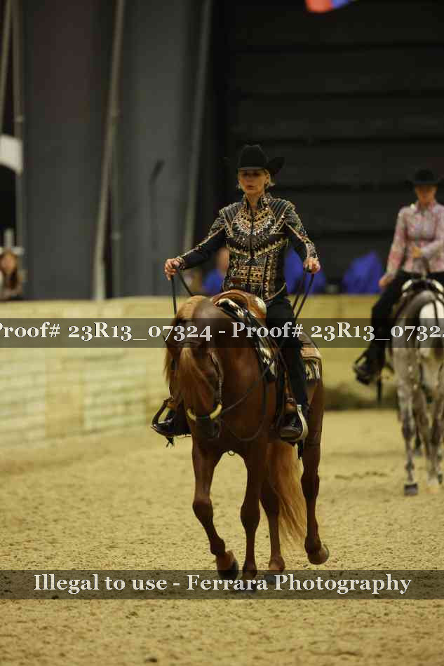Proof 23R13_07324