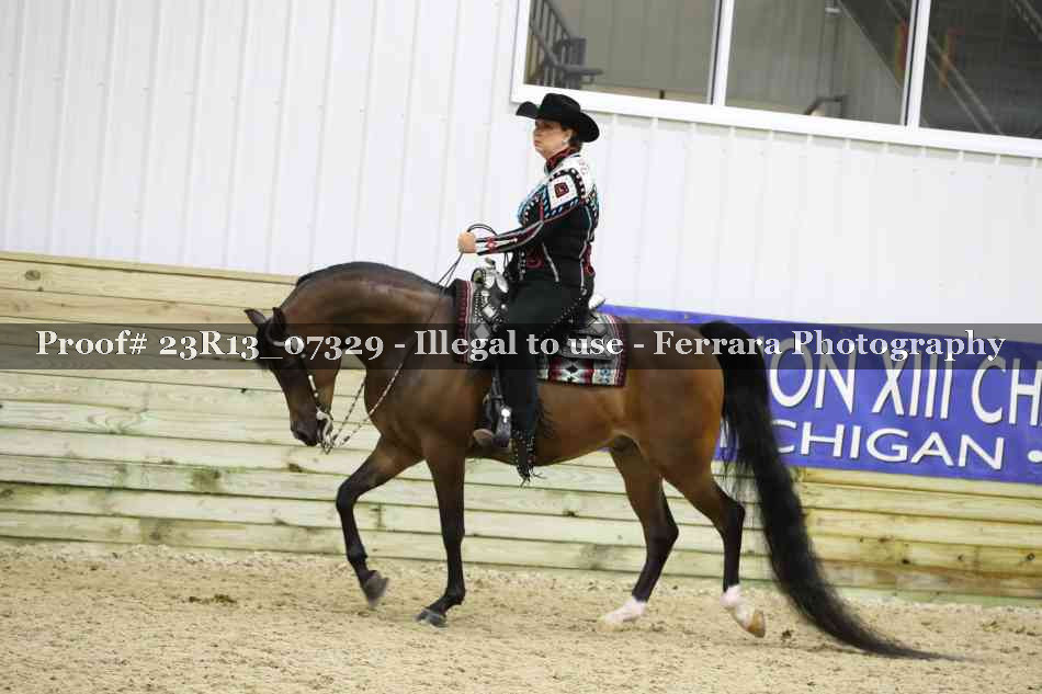 Proof 23R13_07329