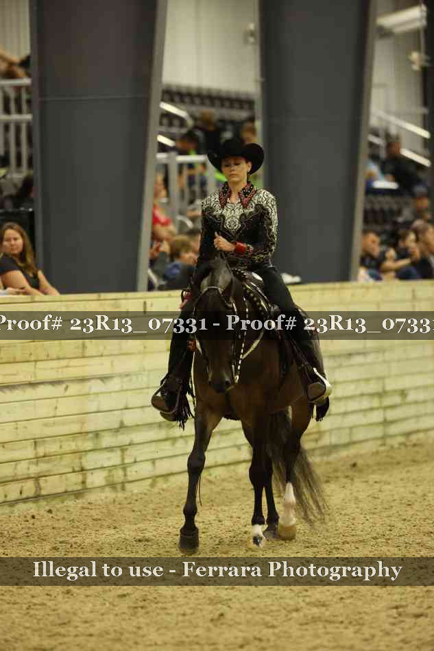 Proof 23R13_07331