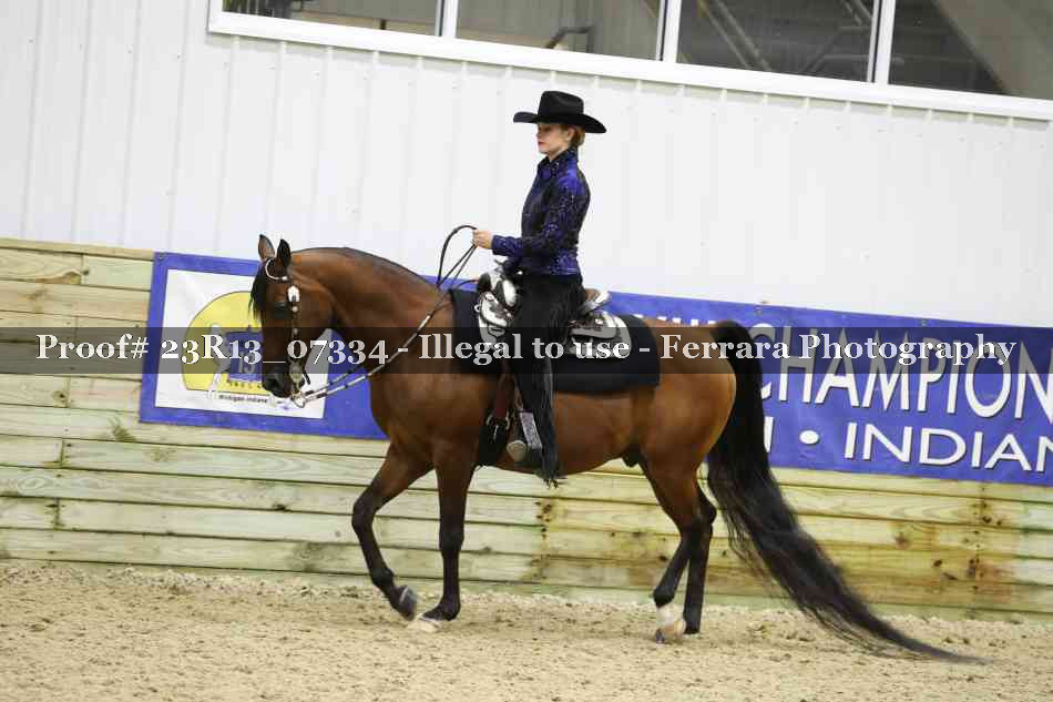 Proof 23R13_07334