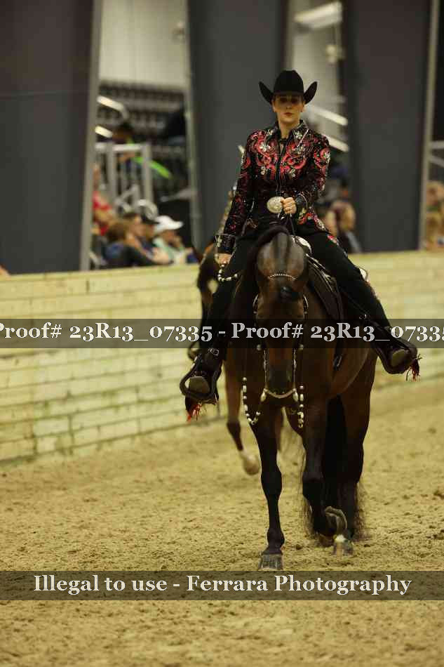 Proof 23R13_07335