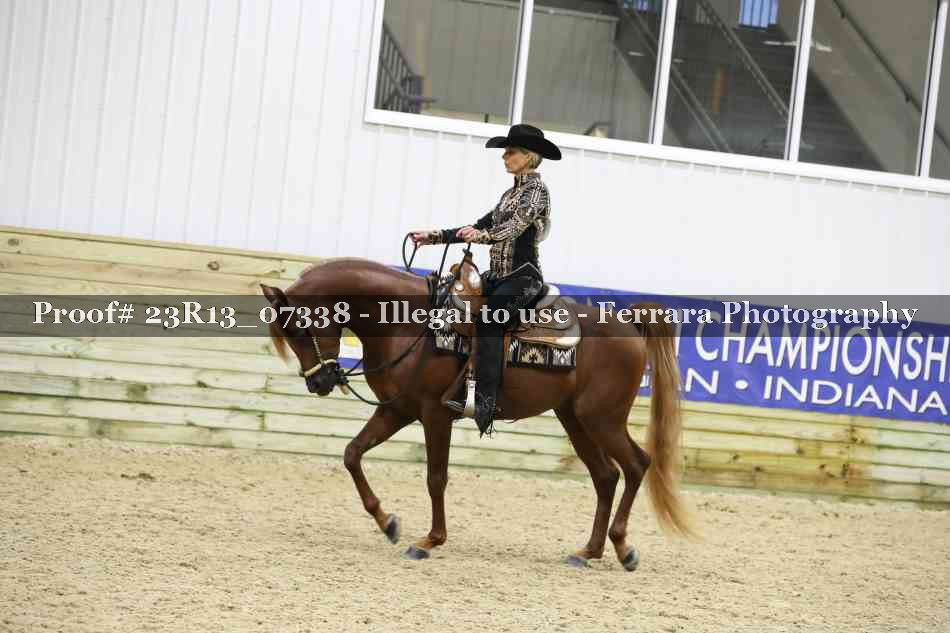 Proof 23R13_07338