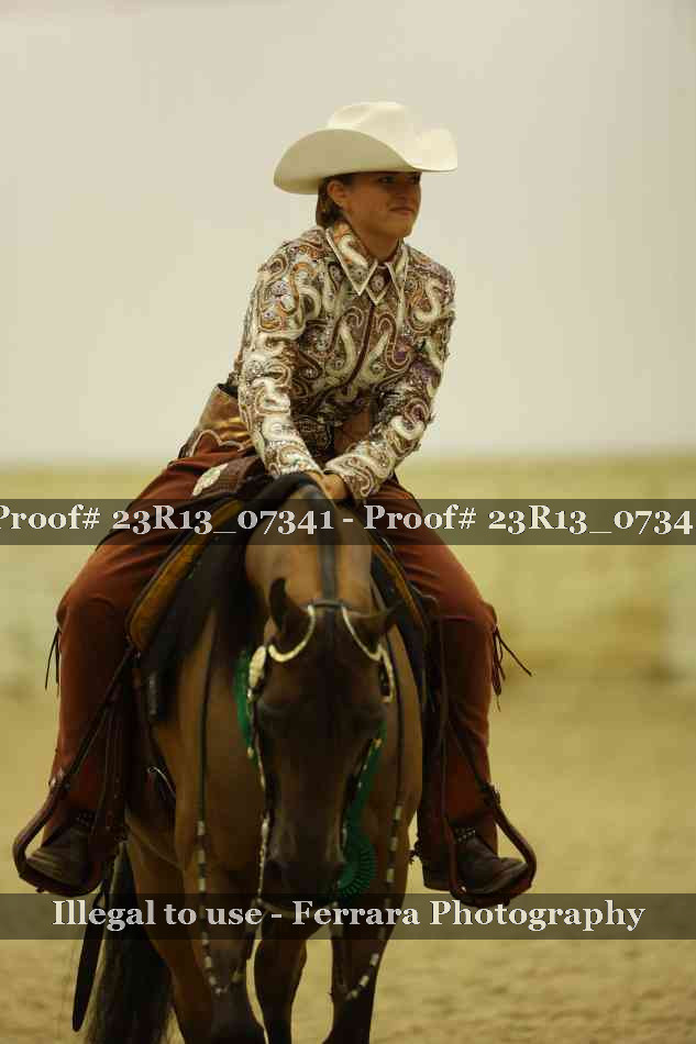 Proof 23R13_07341