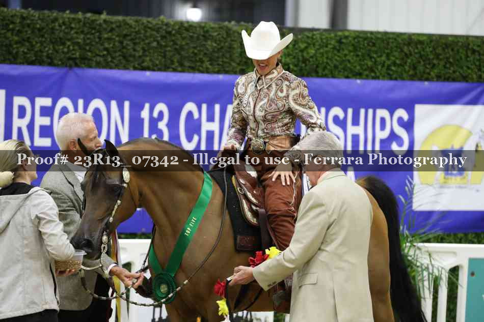 Proof 23R13_07342