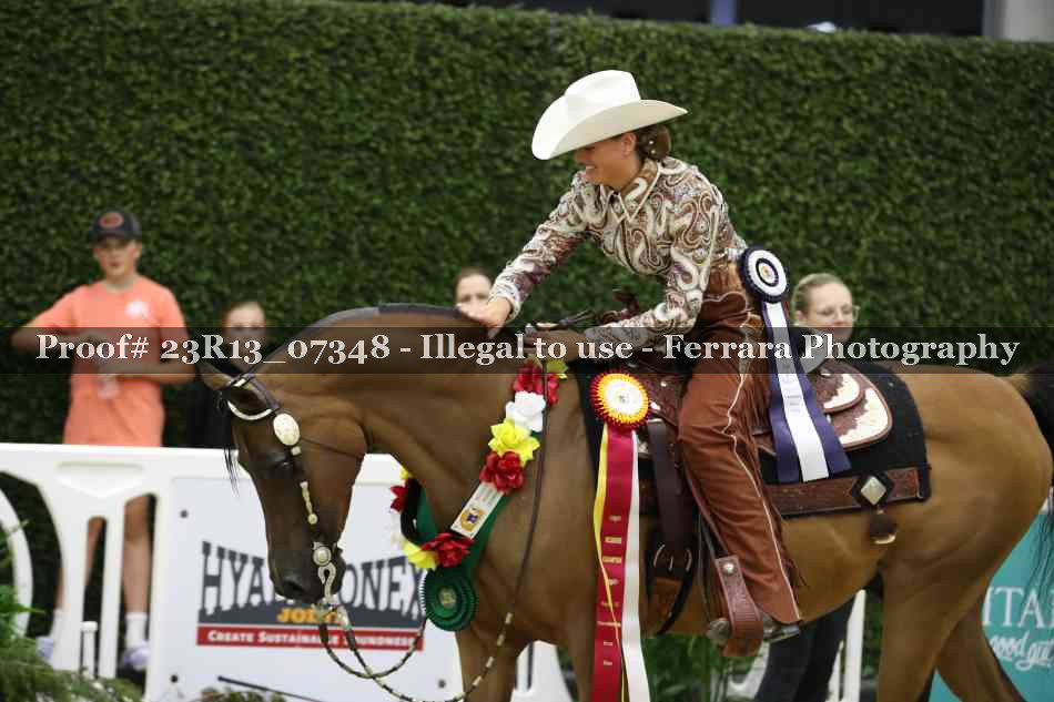 Proof 23R13_07348