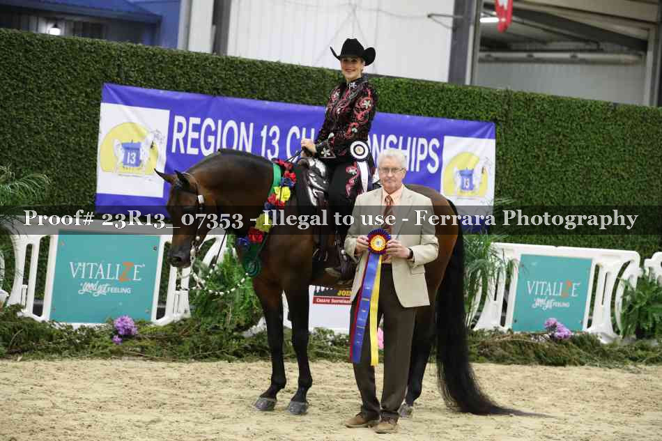 Proof 23R13_07353