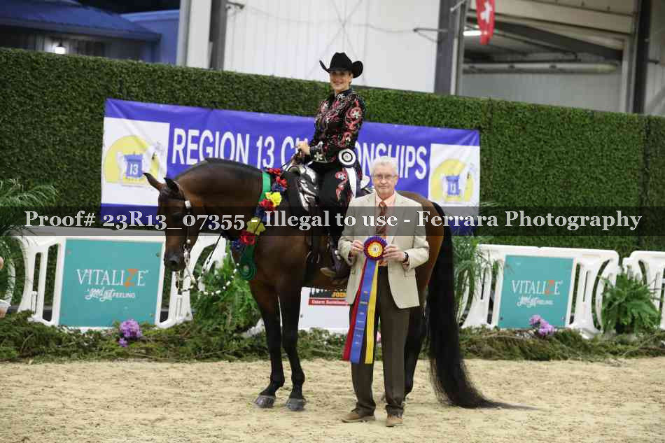 Proof 23R13_07355