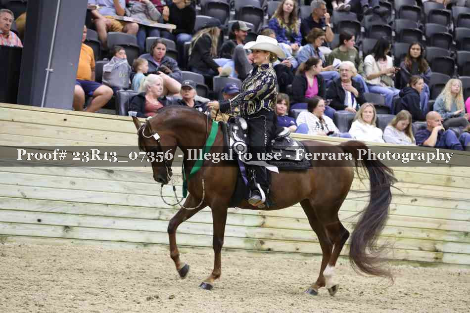 Proof 23R13_07356