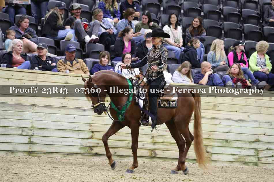 Proof 23R13_07360