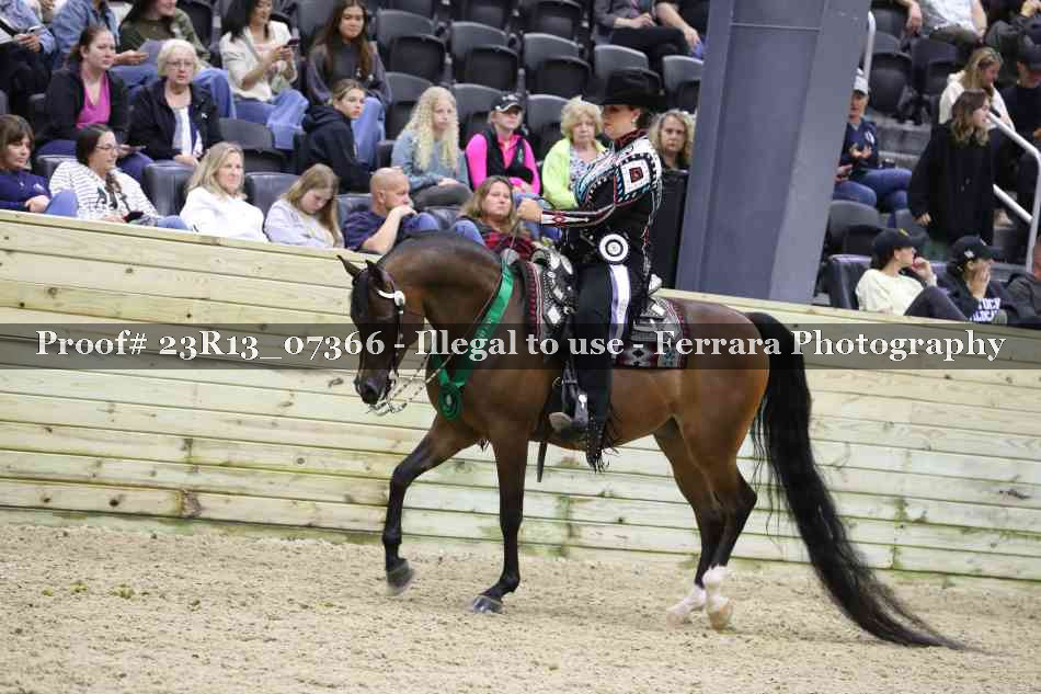 Proof 23R13_07366
