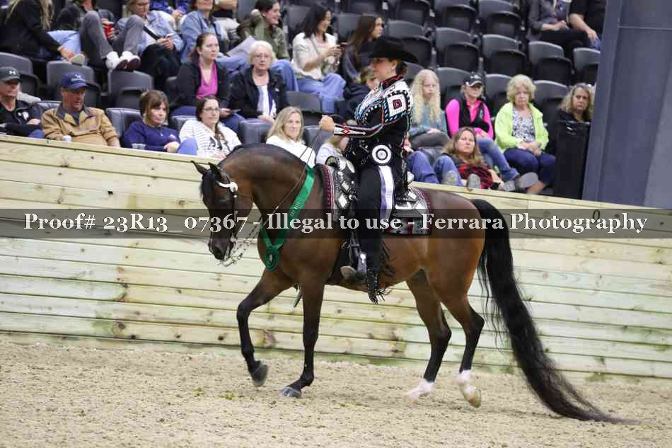 Proof 23R13_07367