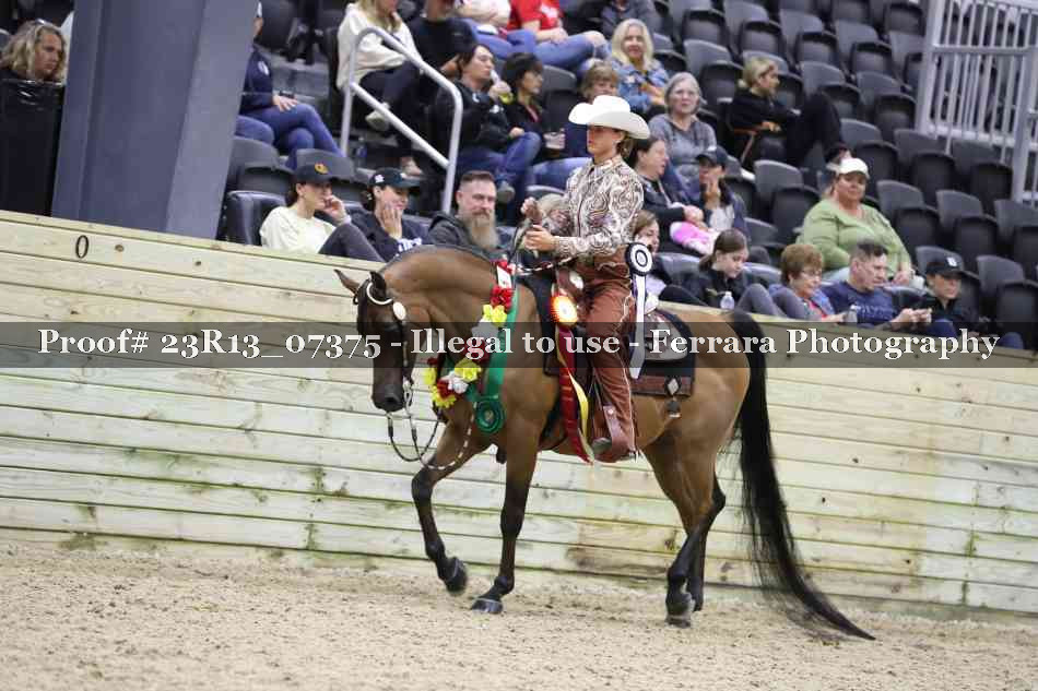Proof 23R13_07375