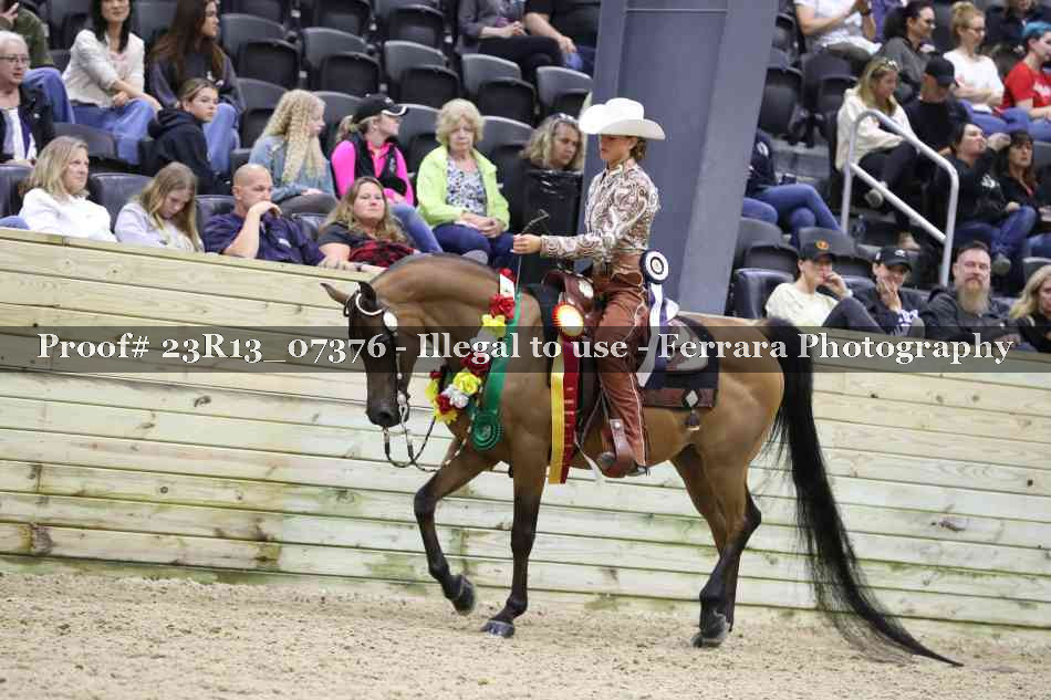Proof 23R13_07376