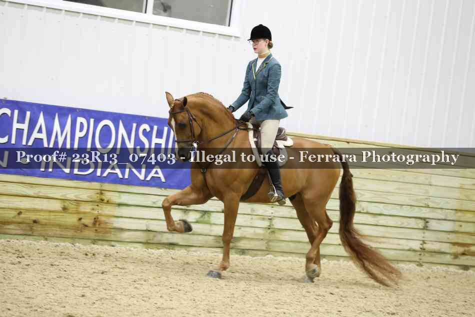 Proof 23R13_07403