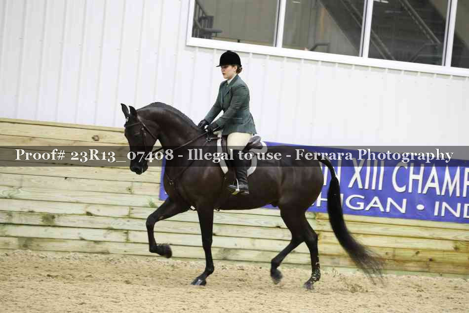 Proof 23R13_07408