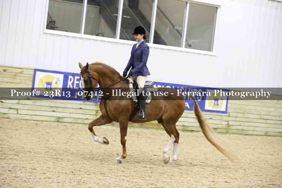 Proof 23R13_07412