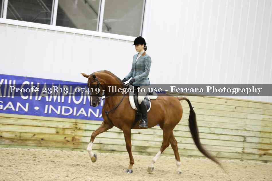 Proof 23R13_07419