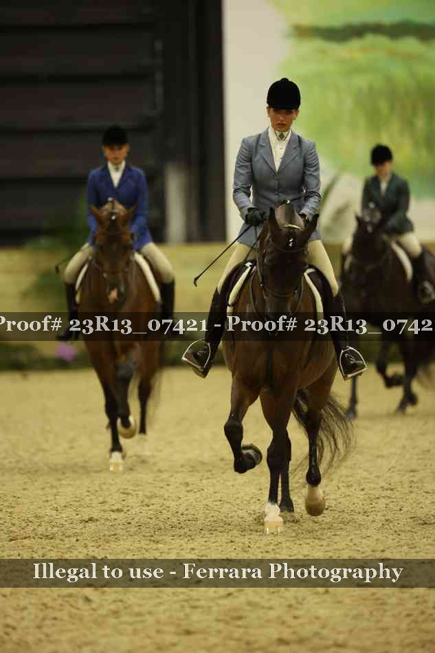 Proof 23R13_07421