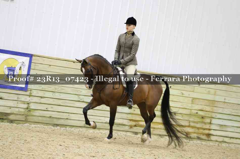 Proof 23R13_07423