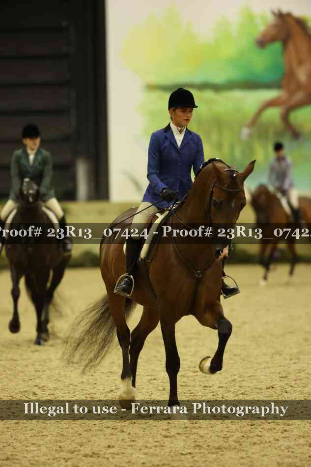 Proof 23R13_07424