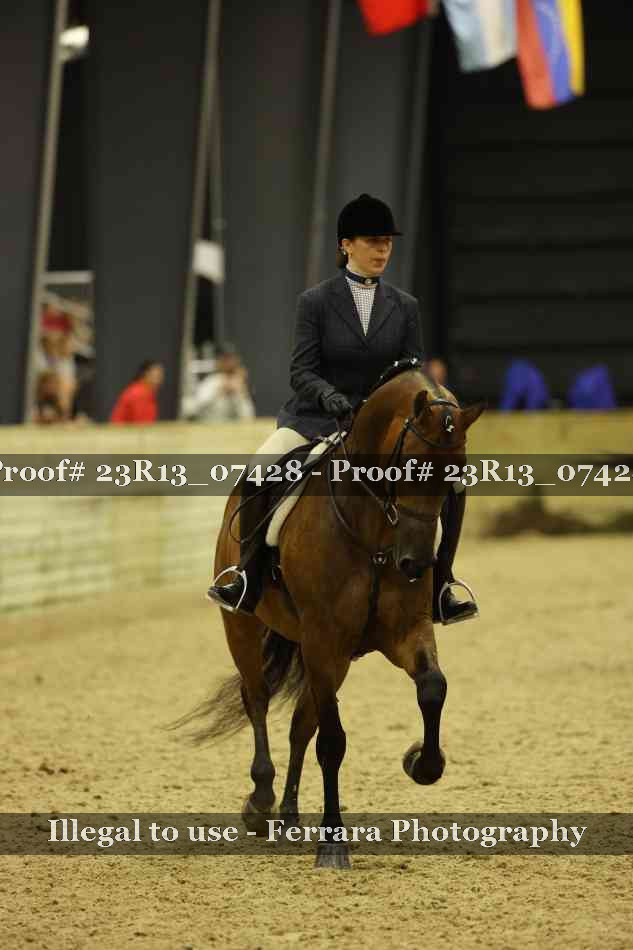 Proof 23R13_07428
