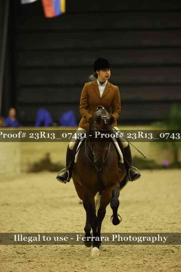Proof 23R13_07431